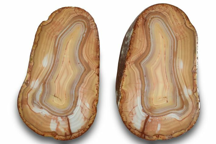 Polished, Banded Bahia Agate Nodule Pair - Brazil #246260